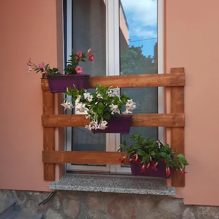 Dom wakacyjny Rosa Nel Cuore Di *