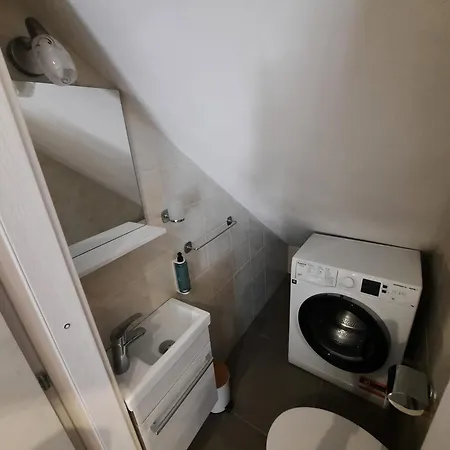 Rosa Nel Cuore Di Porto Azzurro