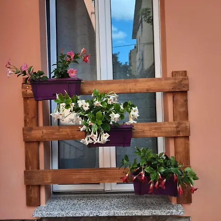 Rosa Nel Cuore Di Casa vacanze