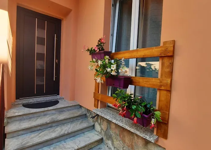 Rosa Nel Cuore Di * 阿祖罗港