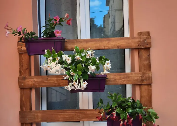 Rosa Nel Cuore Di 度假居